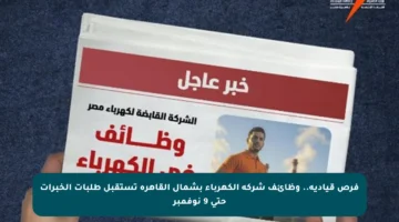 فرص قيادية.. وظائف شركة الكهرباء بشمال القاهرة تستقبل طلبات الخبرات حتى 9 نوفمبر